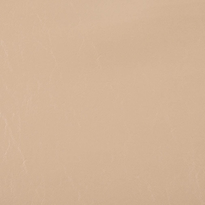 Charlotte V1030 Buttermilk Fabric Sample
