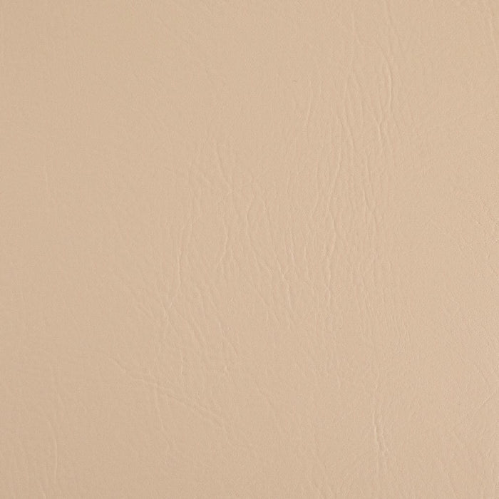 Charlotte V1040 Beige Fabric Sample