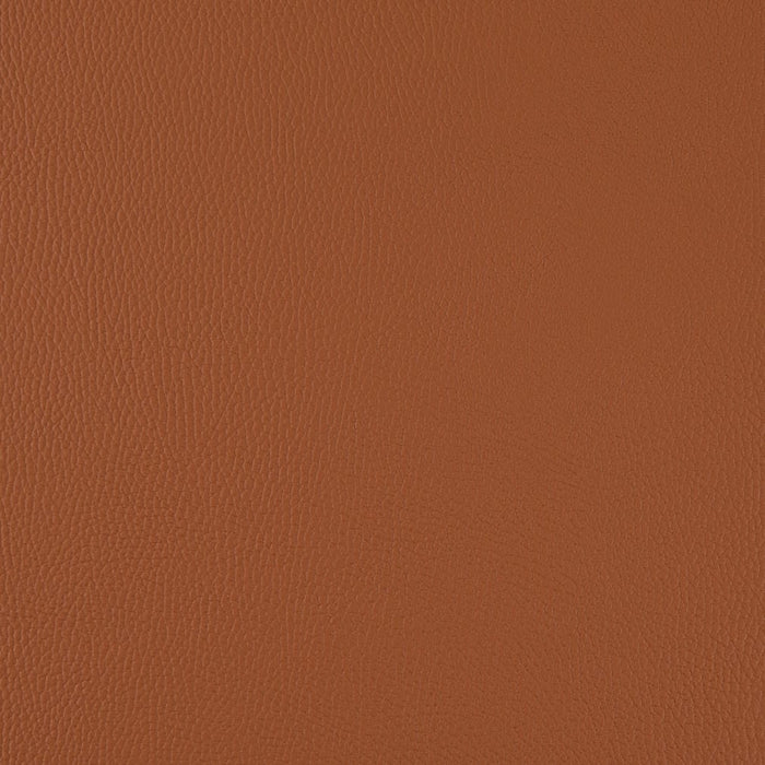 Charlotte V1051 Spice Fabric Sample