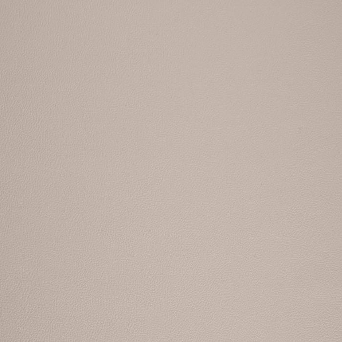 Charlotte V1058 Putty Fabric Sample