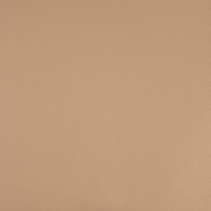 Charlotte V1063 Fawn Fabric Sample
