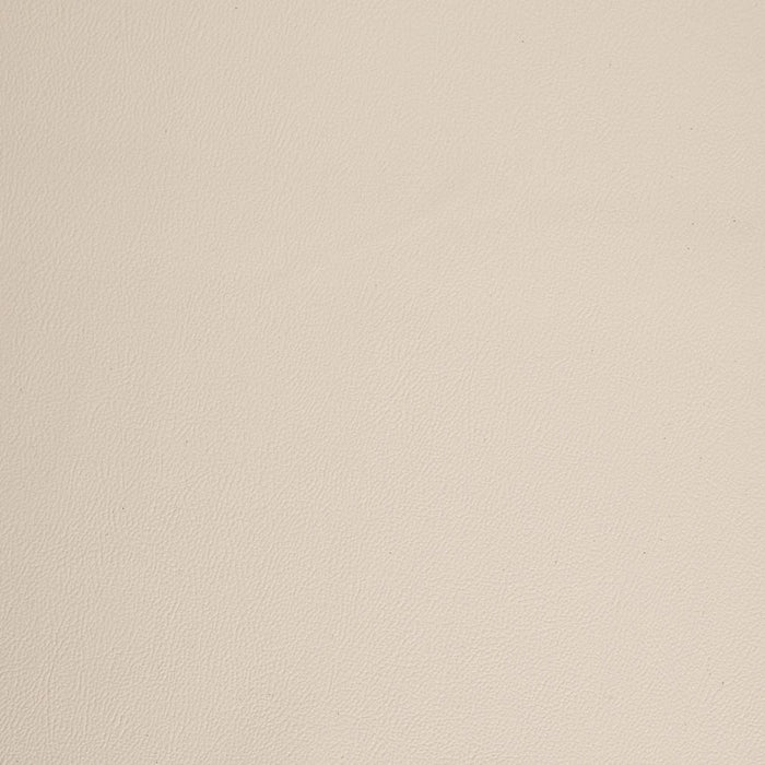 Charlotte V1066 Ivory Fabric