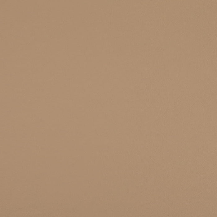Charlotte V1067 Latte Fabric Sample