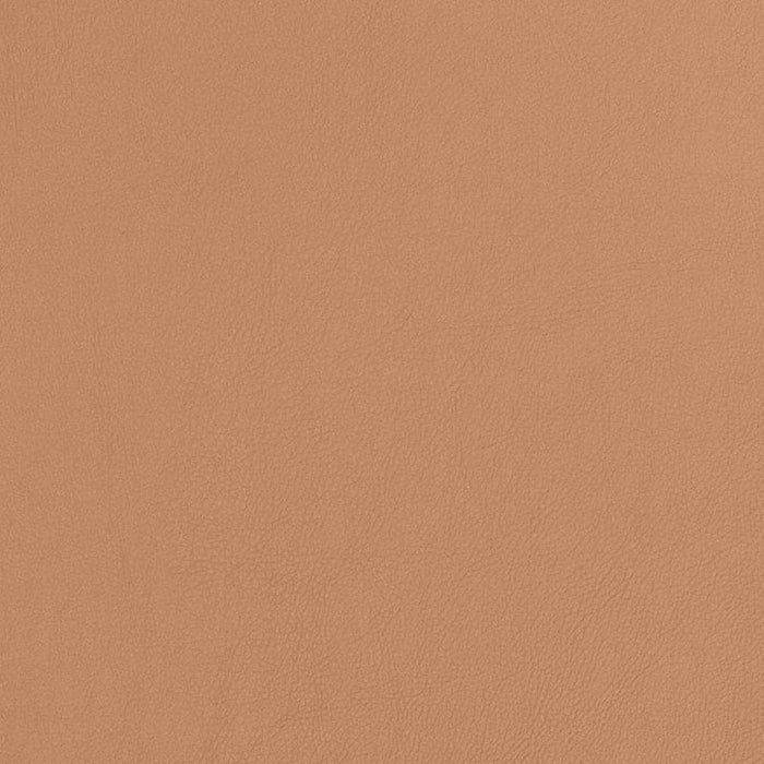 Charlotte Caramel Fabric Sample V810