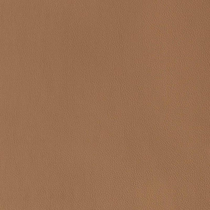 Charlotte Acorn Fabric Sample V813