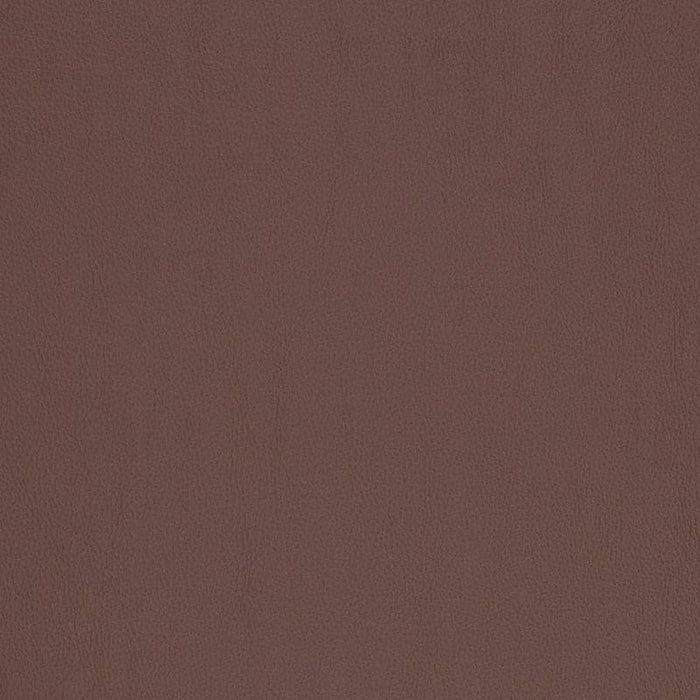Charlotte Chocolate Fabric Sample V815