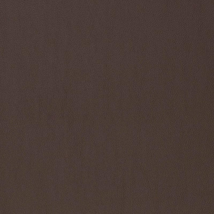 Charlotte Umber Fabric Sample V816