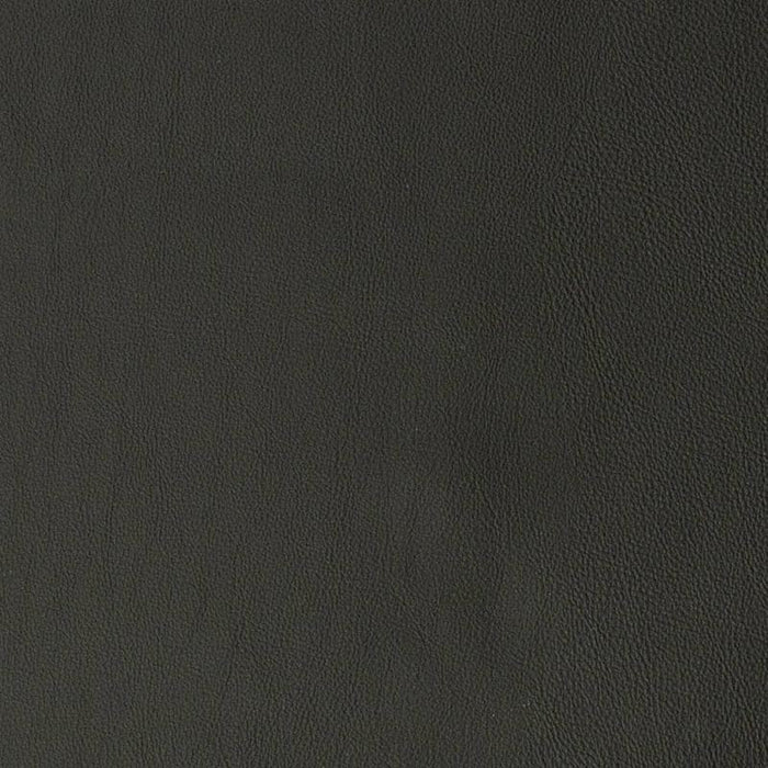Charlotte Ebony Fabric Sample V818