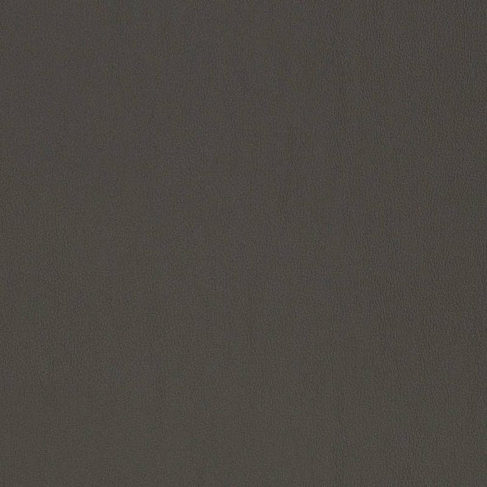 Charlotte Shadow Fabric Sample V819