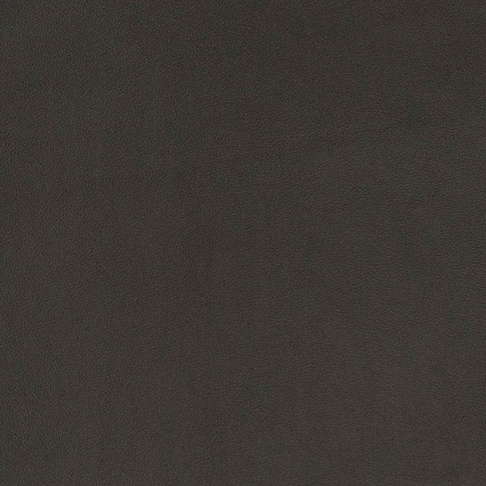 Charlotte Midnight Fabric Sample V822