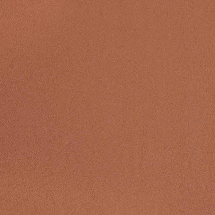 Charlotte Clay Fabric Sample V823