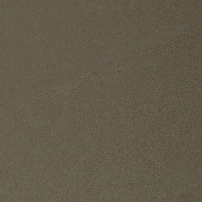 Charlotte Olive Fabric Sample V826