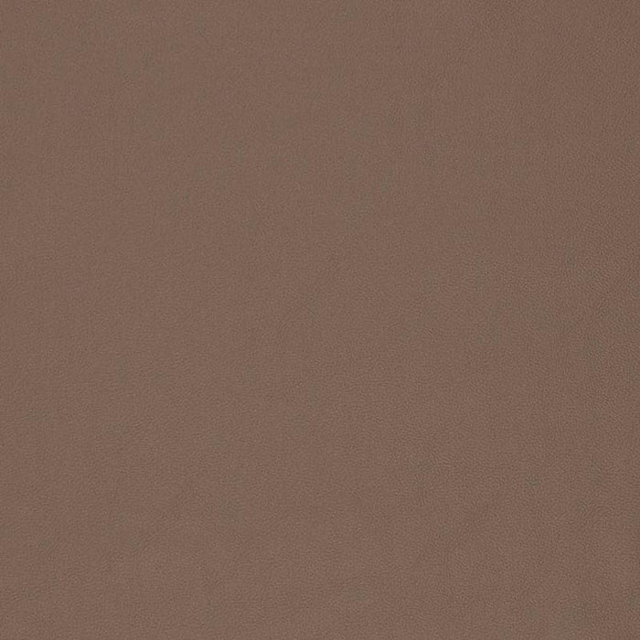 Charlotte Cedar Fabric Sample V828