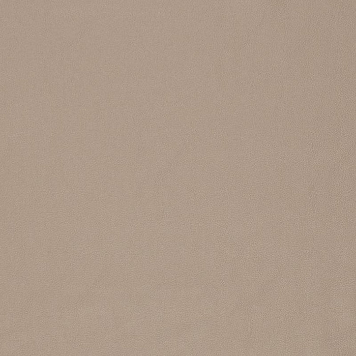 Charlotte Dune Fabric Sample V829