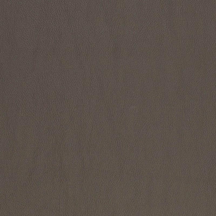 Charlotte Graphite Fabric Sample V833