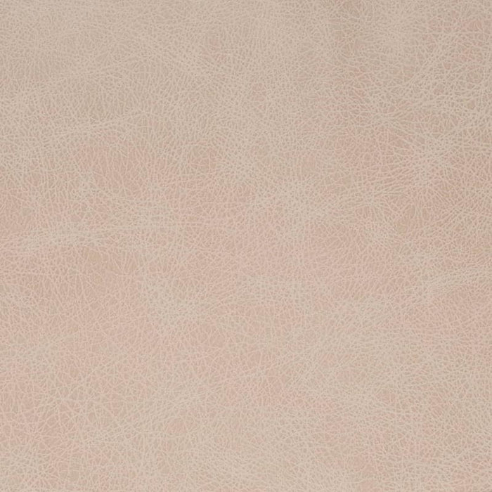 Charlotte Fog Fabric Sample V857