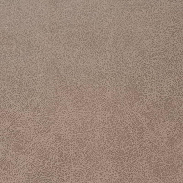 Charlotte Latte Fabric Sample V858