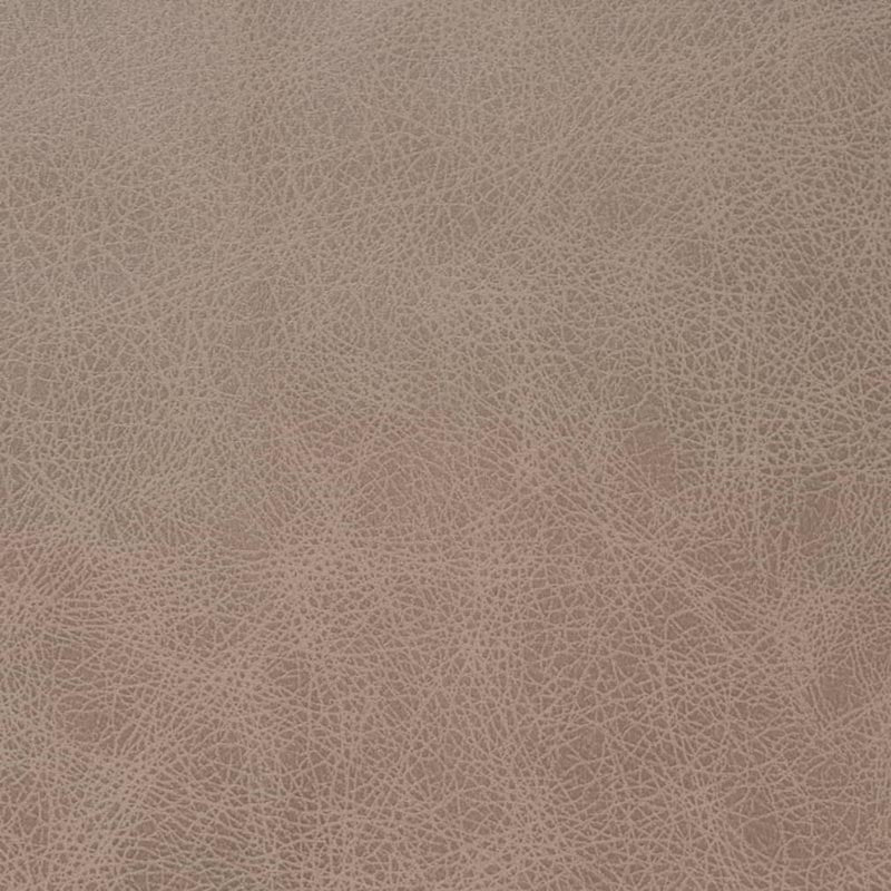 Charlotte Latte Fabric V858