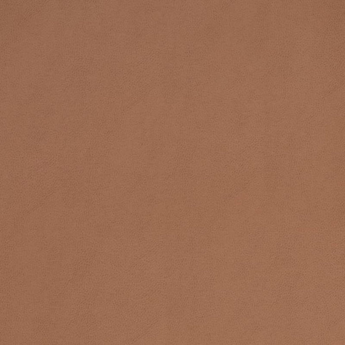 Charlotte Saddle Fabric Sample V860