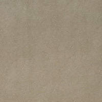 Charlotte Flint Fabric V863