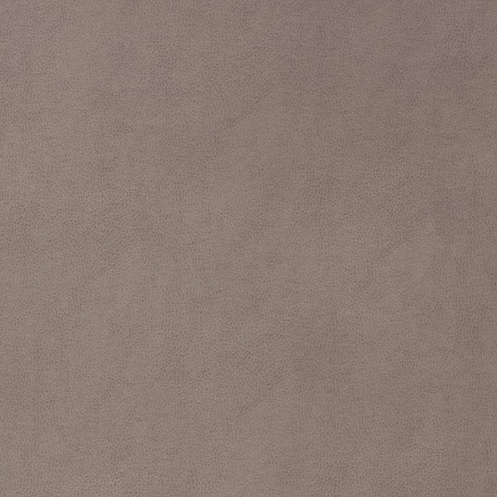 Charlotte Slate Fabric Sample V864