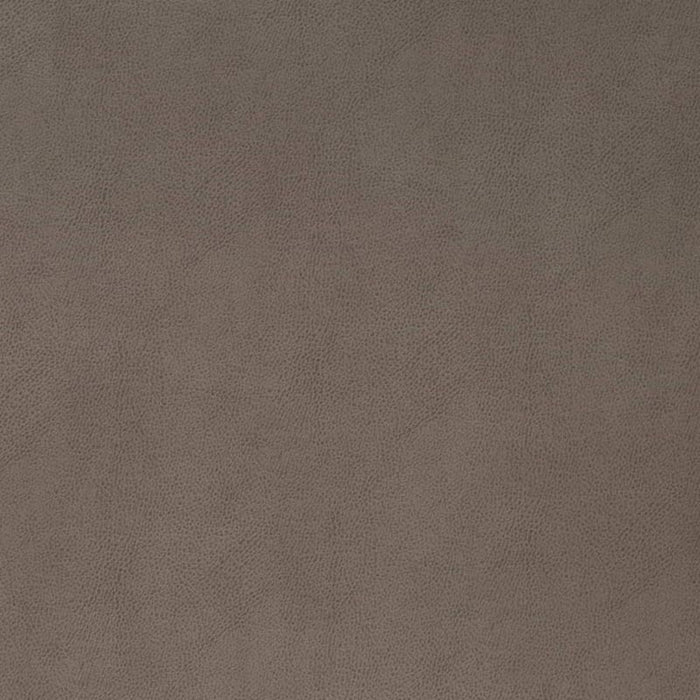 Charlotte Pewter Fabric Sample V865