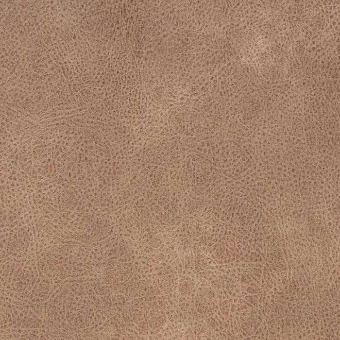Charlotte Buckskin Fabric Sample V868