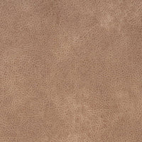Charlotte Buckskin Fabric V868