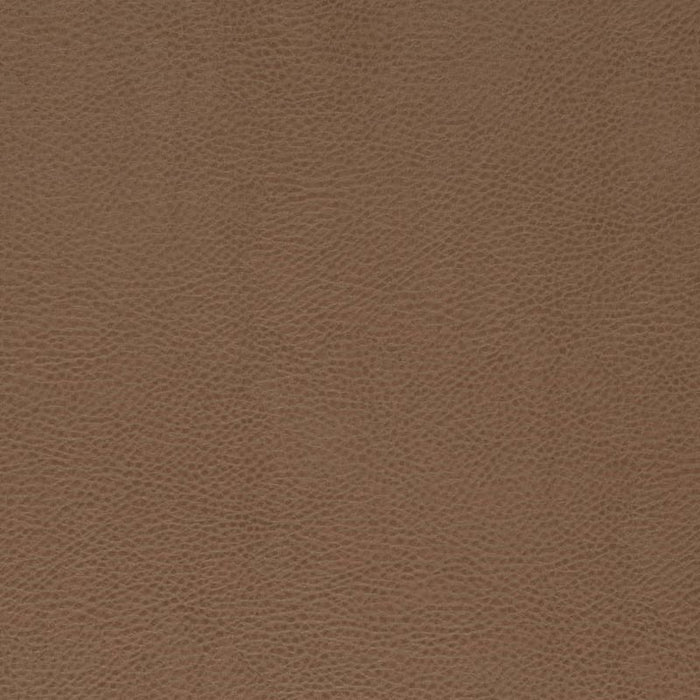 Charlotte Bronze Fabric Sample V869