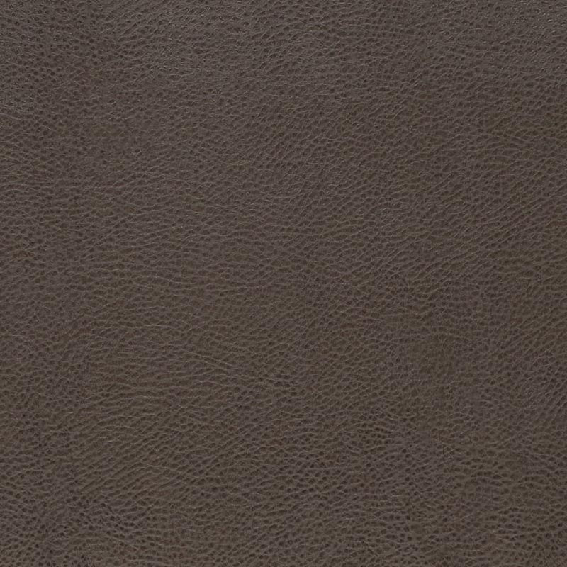 Charlotte Graphite Fabric V876