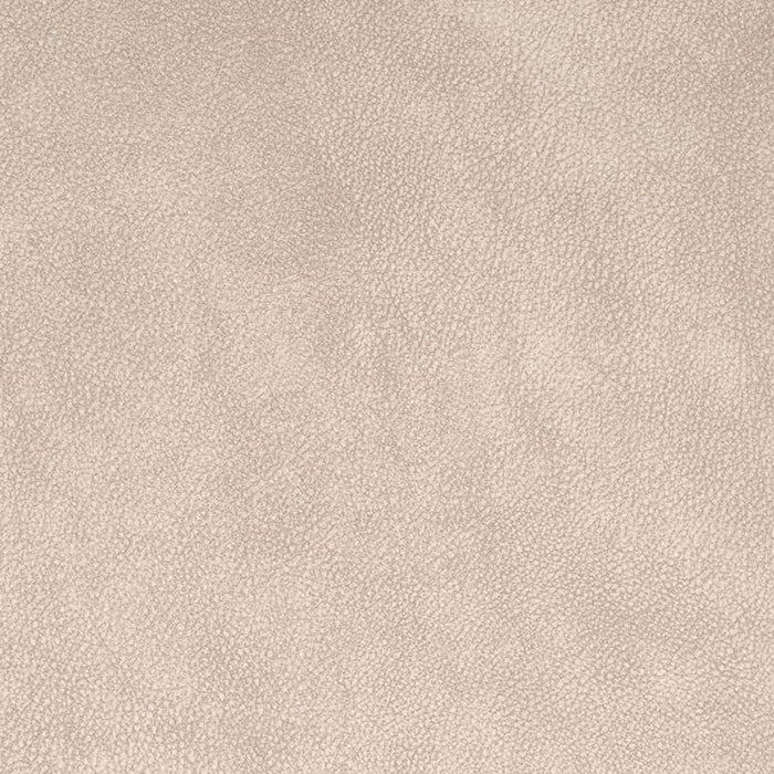 Charlotte Ash Fabric Sample V882