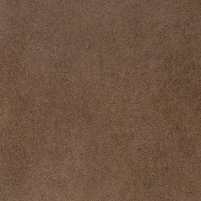 Charlotte Beaver Fabric Sample V889