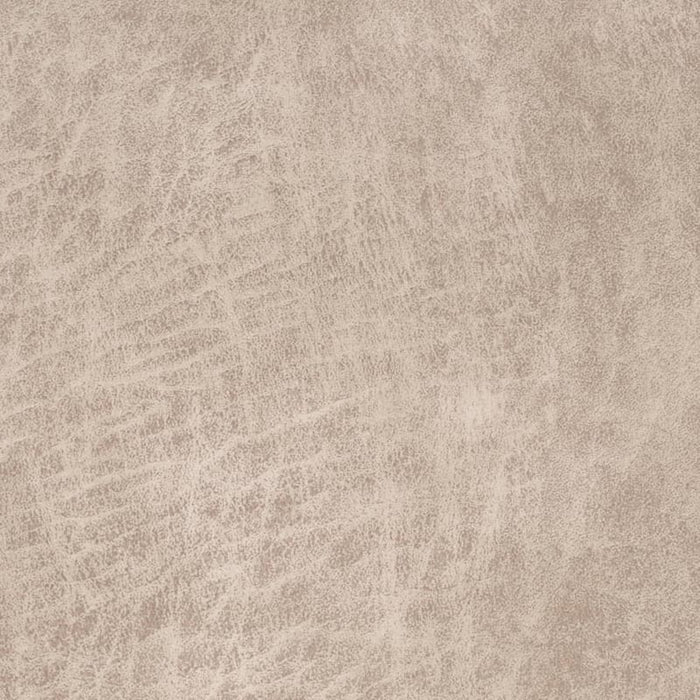 Charlotte Tusk Fabric Sample V892