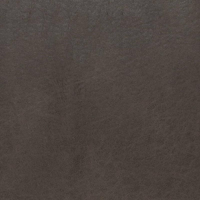 Charlotte Steel Fabric Sample V895