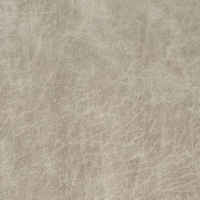 Charlotte Bone Fabric Sample V901