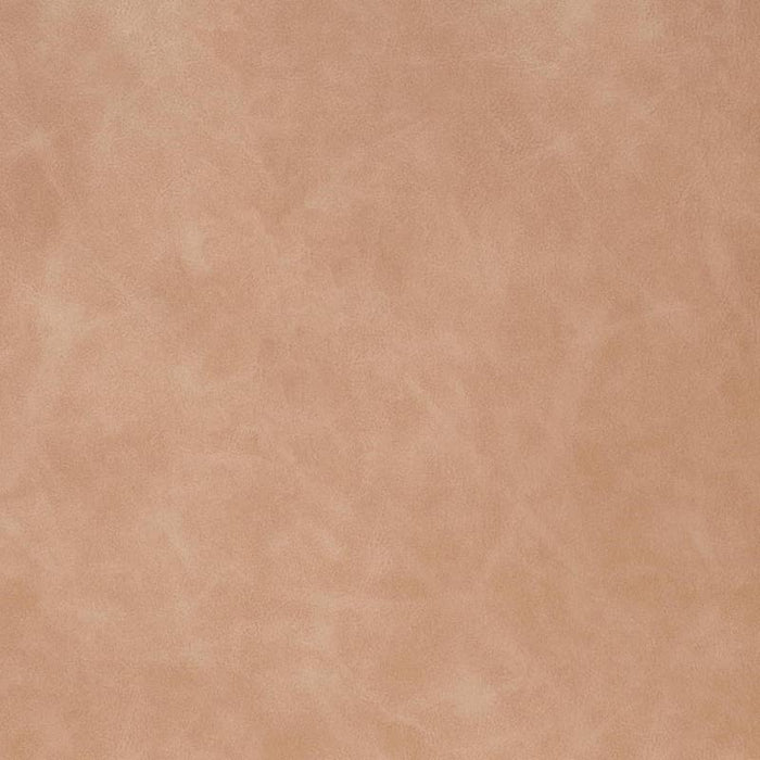 Charlotte Dune Fabric Sample V906