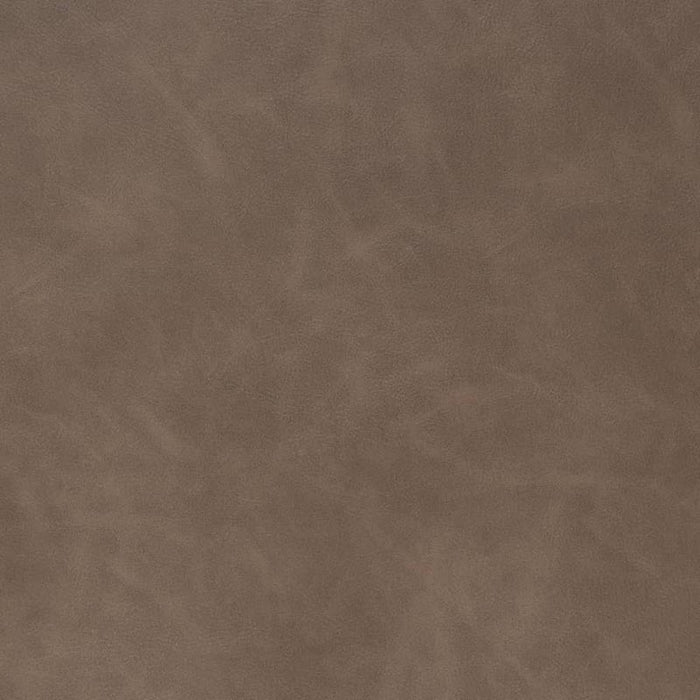 Charlotte Earth Fabric Sample V908