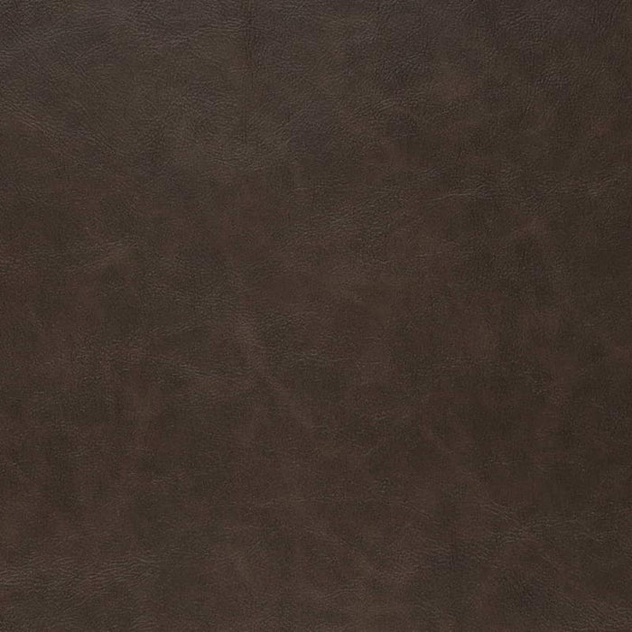 Charlotte Cocoa Fabric Sample V909