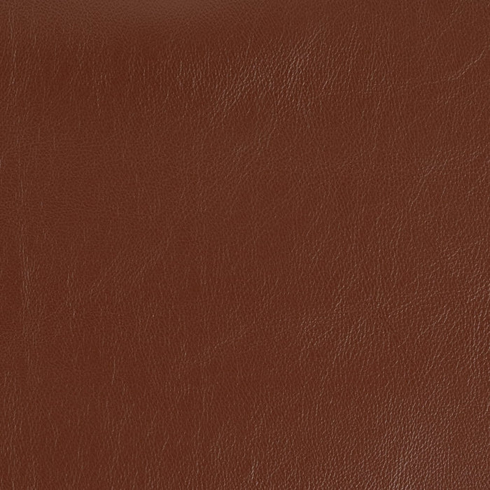 Charlotte V920 Umber Fabric