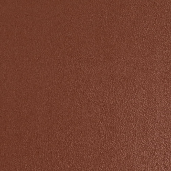 Charlotte V923 Tawny Fabric