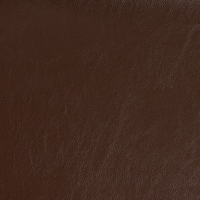 Charlotte V927 Espresso Fabric Sample