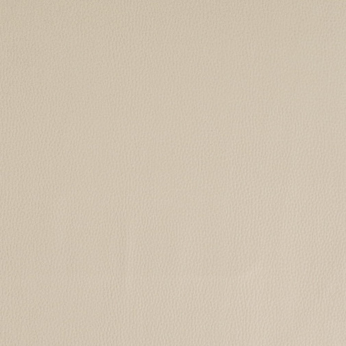 Charlotte V933 Beige Fabric Sample