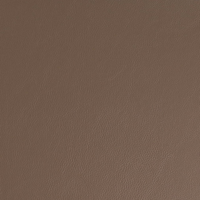 Charlotte V935 Clay Fabric