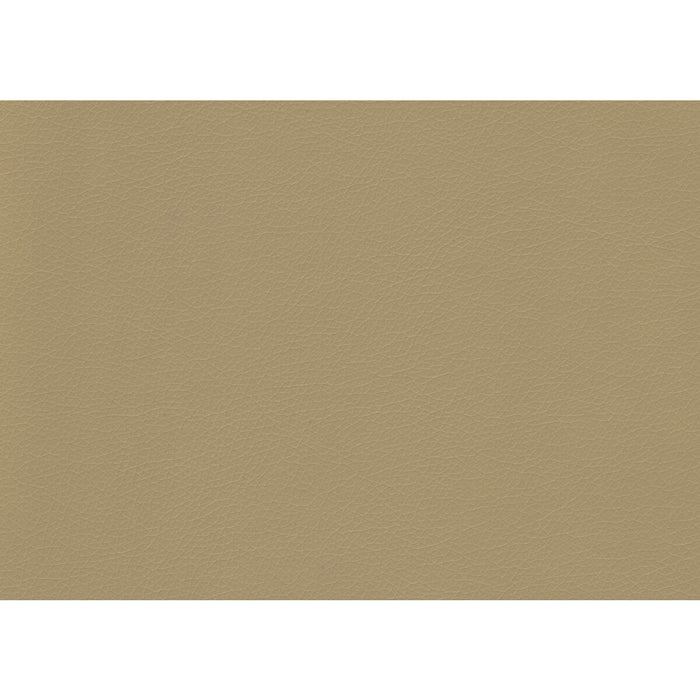Kravet Contract Valera Dune Fabric Sample VALERA.16.0