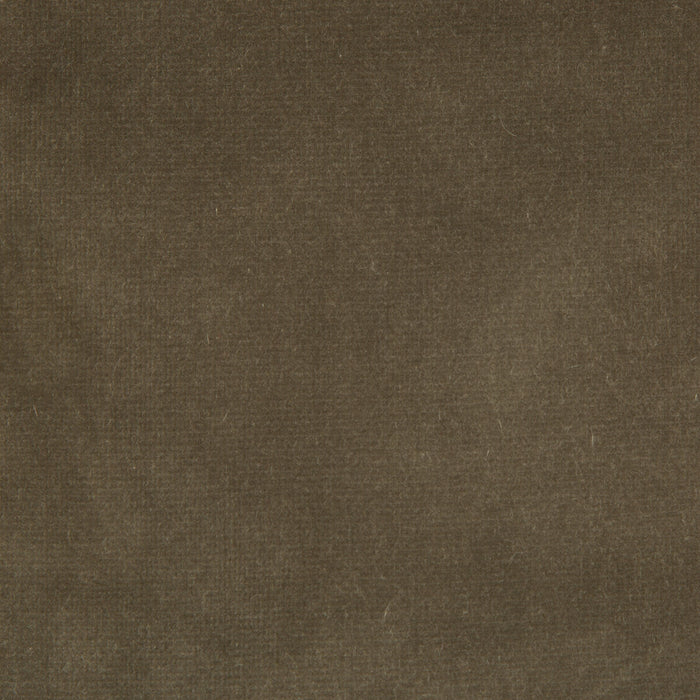 Kravet Design Versailles E20504 Fabric Sample VERSAILLES.E20504.0