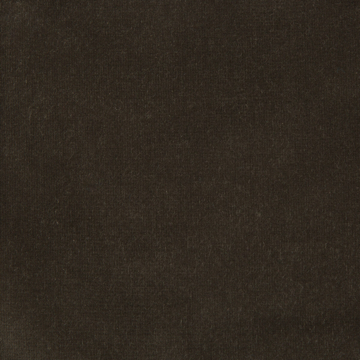 Kravet Design VERSAILLES.E20537.0 Fabric Sample