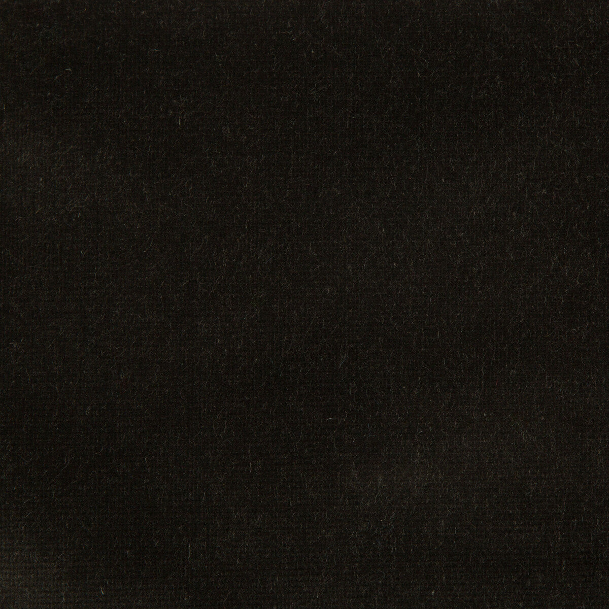 Kravet Design VERSAILLES.E20700.0 Fabric Sample