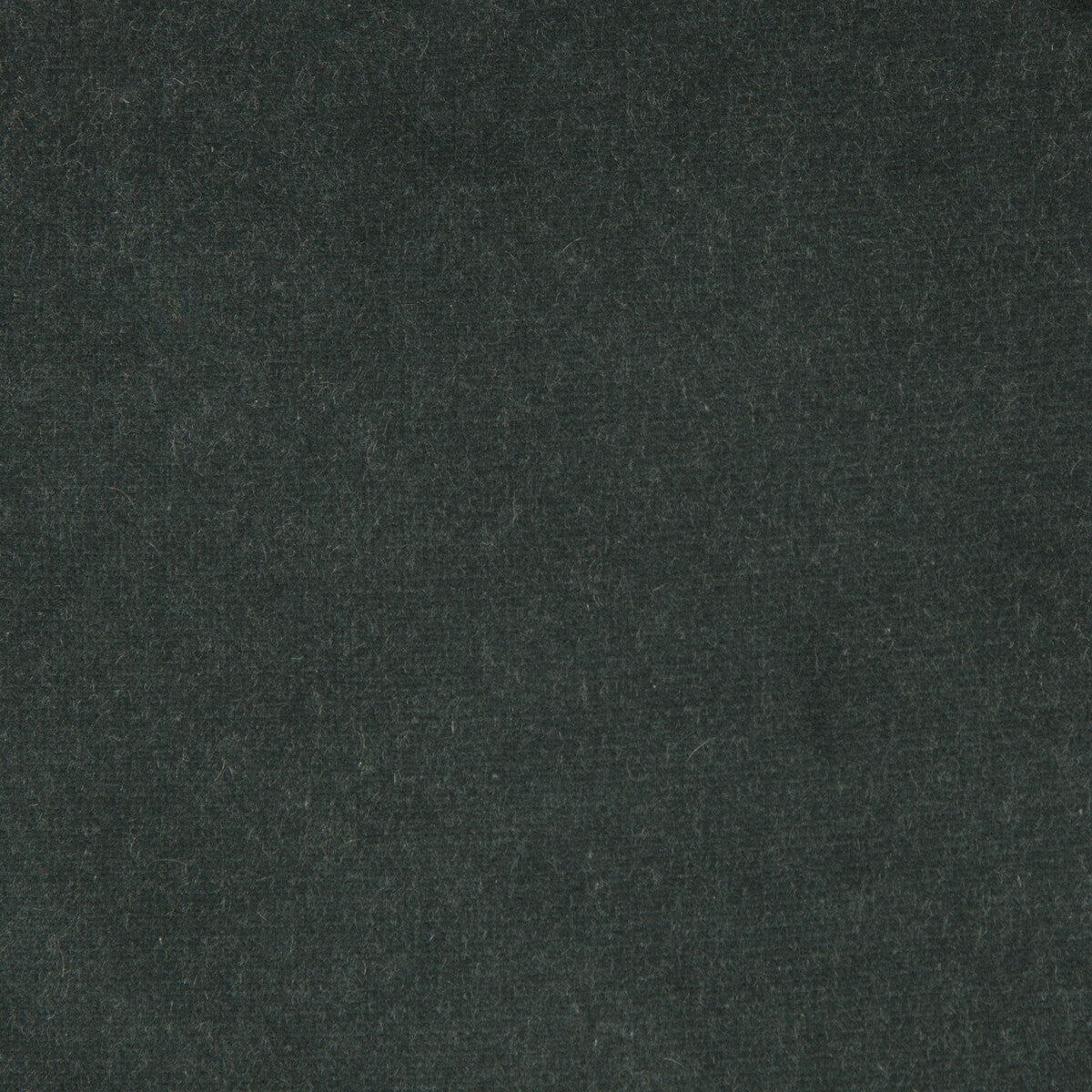 Kravet Design VERSAILLES.E20713.0 Fabric Sample