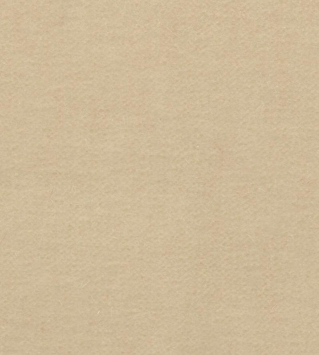 Old World Weavers Majestic Mohair Froth Fabric Sample VPMAJE0700
