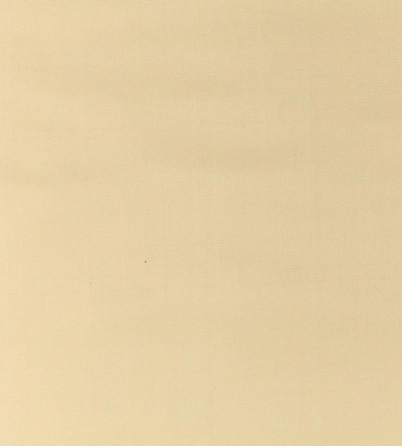 Old World Weavers Pacific Silk Buttercream Fabric Sample VP10050710